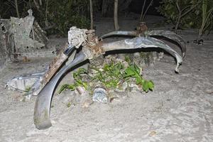 b52 Propeller auf sandig Strand foto