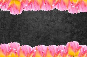 Rosa Tulpen, Rahmen frisch Frühling Tulpen Blumen mit Raum zum Text auf Zement Hintergrund foto