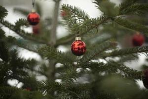 rot Bälle auf Weihnachten Baum. Dekoration zum Weihnachten. Weihnachten Baum Spielzeuge auf Fichte Geäst. foto