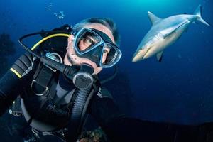 Unterwasser-Selfie mit grauem Hai, der zum Angriff bereit ist foto