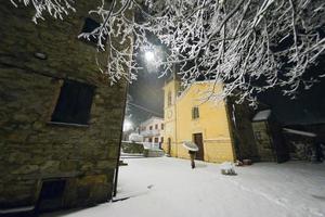 Äste im Winter von Schnee bedeckt foto