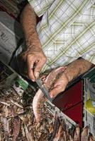 Hand des alten Mannes auf dem Fischmarkt foto