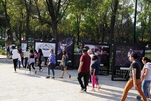 Mexiko-Stadt, 3. Februar 2019 - Stadtpark Chapultepec am Sonntag voller Menschen foto