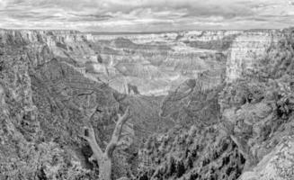 wunderbar großartig Schlucht Norden Rand Aussicht im schwarz und Weiß foto