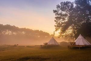 Zelt Camping im das Morgen . beim thung salaeng luang National Park Phetchabun Provinz, Thailand foto