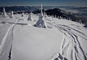 Ski Markierungen auf steil Schnee Steigung Landschaft Foto
