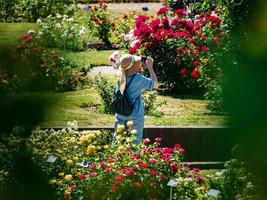 Rose Garten im sicher. Museum von Blumen. foto