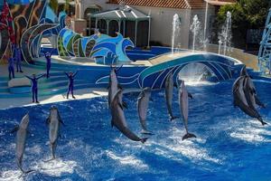 san Diego, USA - - November, 15 2015 - - das Delfin Show beim Meer Welt foto