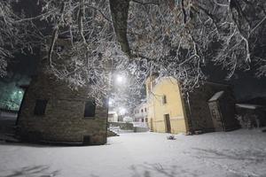 Äste im Winter von Schnee bedeckt foto