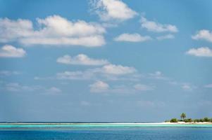 malediven tropisches paradies strand kristallwasser kokosnussbauminsel foto