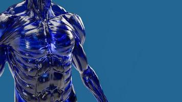das Mensch Körper Muskel auf Blau Hintergrund zum Bildung oder sci Konzept 3d Rendern foto