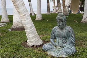 Buddha Statue in der Nähe von das Ufer foto