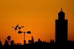 maroc Marrakesch Sonnenuntergang Aussicht mit Storch Silhouette foto