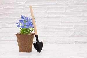 umweltfreundlich organisch Torf Topf mit Lobelie Blume mit Spaten auf Weiß Tabelle Hintergrund. Konzept von Gartenarbeit, Pflanzen. Kopieren Raum foto