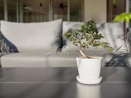 Tisch mit freiem Raum mit grüner Pflanze foto