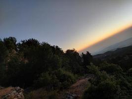 Natur Tierwelt Landschaft mit Bäume foto