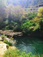 Wasserfälle im das Mitte von das Urwald foto