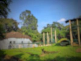 defokussiert verschwommen Foto von ein Schimpanse oder Orang-Utan Gehege beim das Ragunan Zoo.