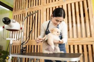 weiblich Fachmann Pistenfahrzeug Kämmen Hund Pelz beim Haustier Spa Pflege Salon foto