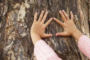 Konzept von Speichern das Welt Mensch Hand berühren ein Baum foto