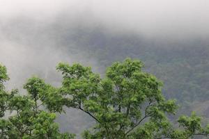 attraktive große Bergkette mit Morgennebel foto