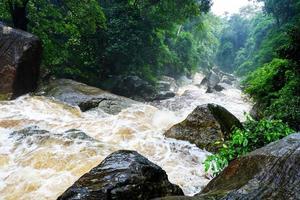 Wasser Flut auf Fluss nach schwer Regen Stromschnellen Wasser fließen reichlich von Berg Strom foto