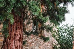 Eibingen Abtei, Deutsche abtei st. Hildegard, ist ein Gemeinschaft von Benedektiner Nonnen im Eibingen in der Nähe von Rüdesheim im Hessen, Deutschland foto