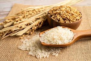 Jasmin Weiß Reis mit Gold Korn von Landwirtschaft Bauernhof. foto