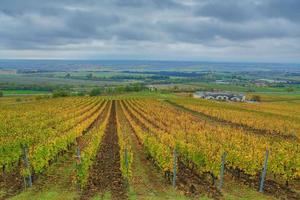 wolkig Tag in der Nähe von tokaj foto