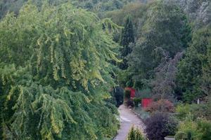 Sommerzeit im Garten foto