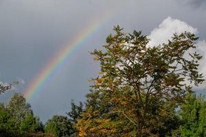 Sommerzeit im Garten foto