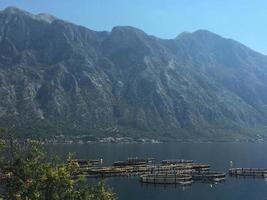 kotor im Montenegro foto