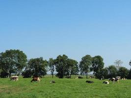 Wandern in der Nähe von Ditzum im Deutschland foto