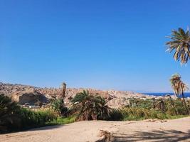 Palme Bäume Weiß Sand und natürlich Schönheit auf das Strand von Saudi Arabien. foto