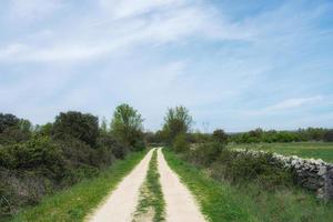 Schmutz Straße unter ein Blau Himmel im das Mitte von ein Grün Feld foto