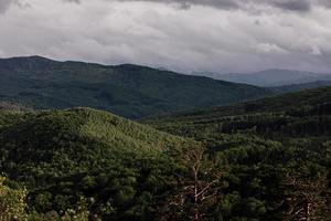 Luftaufnahme des Waldes. Panorama des Bergwaldes. foto