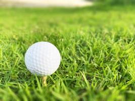 golfball nah oben auf grünem gras auf unscharfer schöner landschaft des golfplatzes mit sonnenaufgang, sonnenuntergangszeit auf hintergrund.konzept internationaler sport, der auf präzisionsfähigkeiten zur gesundheitsentspannung angewiesen ist. foto