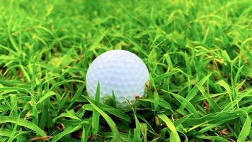 golfball nah oben auf grünem gras auf unscharfer schöner landschaft des golfplatzes mit sonnenaufgang, sonnenuntergangszeit auf hintergrund.konzept internationaler sport, der auf präzisionsfähigkeiten zur gesundheitsentspannung angewiesen ist. foto