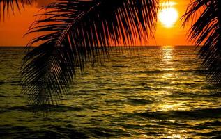 schön Sonnenuntergang tropisch Strand mit Palme Baum auf Himmel zum Reise und Ferien foto