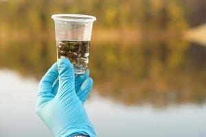 Nahansicht Forscher Hand tragen Blau Handschuhe hält Prüfung Glas Das enthalten Stichprobe Wasser und Wasser Pflanzen von das See.Konzept, erkunden, Analyse Wasser Qualität von natürlich Quelle. Ökologie Feld Forschung. foto