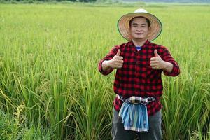 gut aussehend asiatisch Mann Farmer ist beim Paddy Feld, trägt Hut, rot Plaid Shirt, Daumen hoch. fühlt sich zuversichtlich. Konzept, Landwirtschaft Beruf, Farmer wachsen organisch Reis. foto