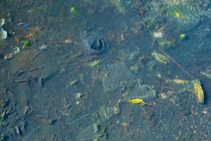 Verschmutzung von Flüsse und Meere mit Plastik Abfall und Müll, das Risiko von Leben und das Wohlbefinden von Ökosysteme, ein oben Aussicht von das Unterseite von ein verschmutzt Reservoir, ein Tag zu Pflege zum das Erde foto