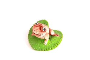 Frosch auf einem Lotusblatt