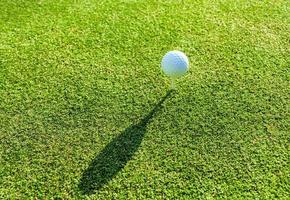 Golfball auf einem Abschlag foto