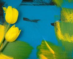 Eukalyptusblätter mit schönen gelben schönen Tulpen foto