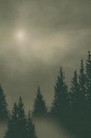 Wald im das Berge Hintergrund Bäume Silhouette Hintergrund foto