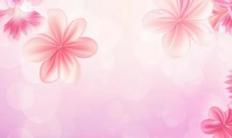 Blumen auf rosa Hintergrund foto