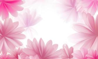 Blumen auf rosa Hintergrund foto