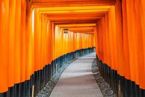 Torii-Tore am Fushimi-Inari-Schrein in Kyoto, Japan foto