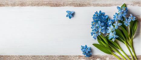 oben Aussicht Blau Scilla Blumen auf Weiß hölzern Hintergrund mit Raum zum Text. zuerst Frühling Blumen. Gruß Karte zum Valentinstag Tag, Frau Tag und Mutter Tag foto